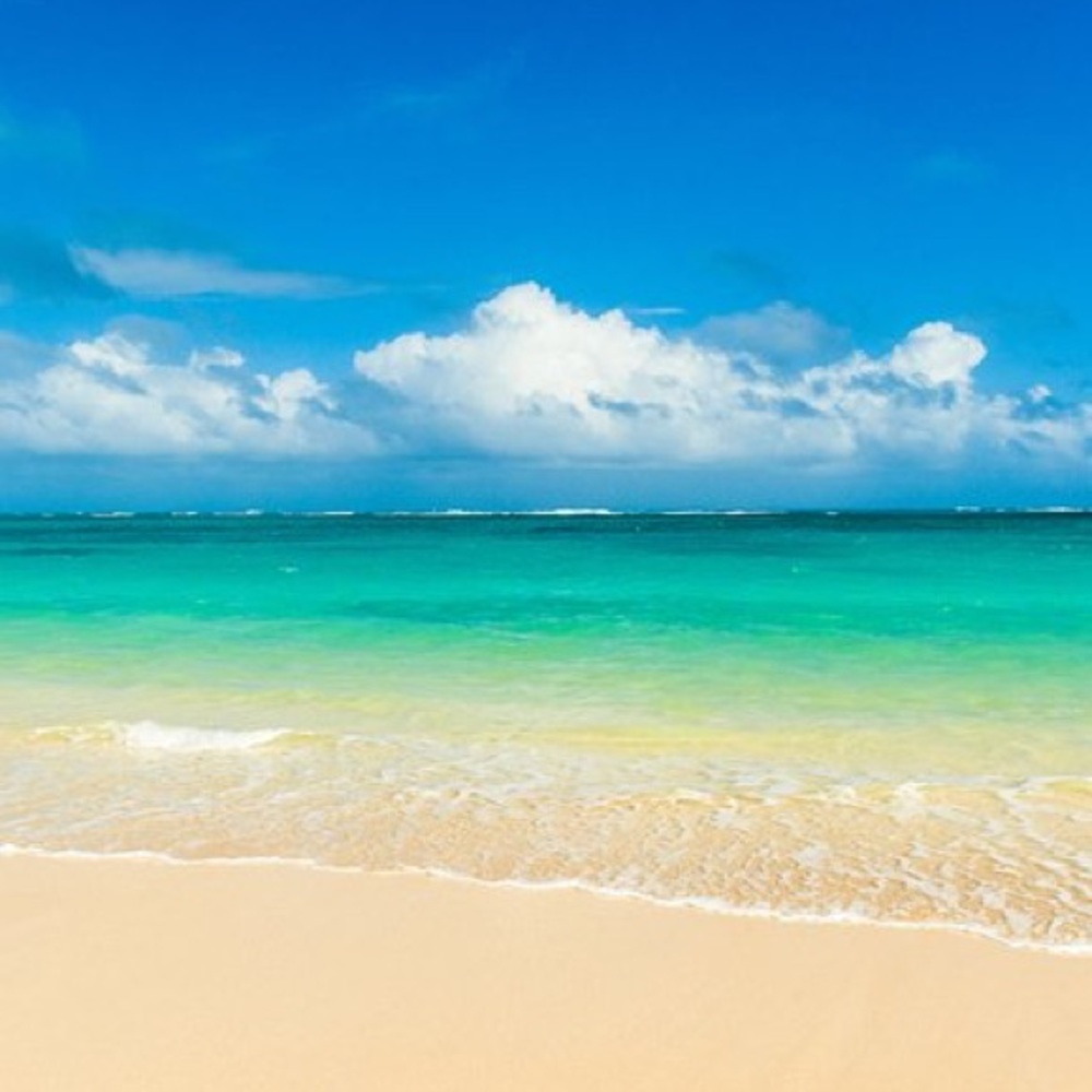 Meet your Posher, Jan